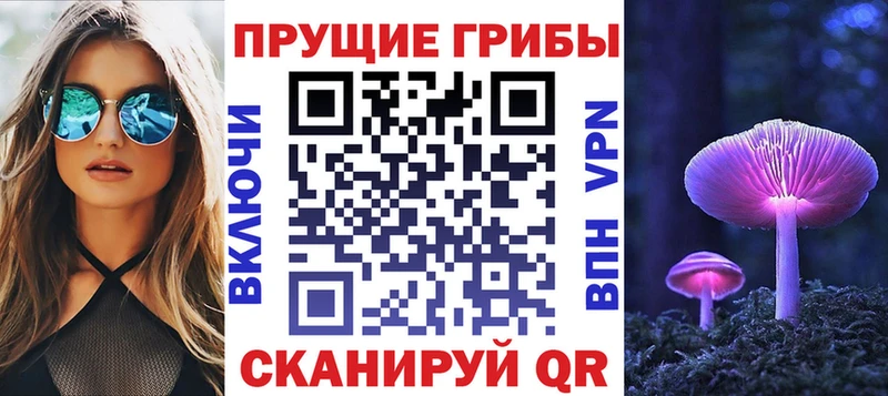 продажа наркотиков  Вихоревка  Галлюциногенные грибы GOLDEN TEACHER 